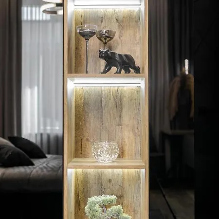 公寓 Alfa Kulisha 40 *