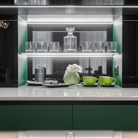 Alfa Kulisha 40 公寓 利沃夫